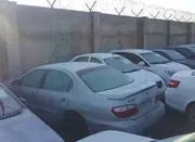 حراج دولتی ماکسیما