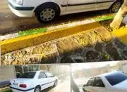 فروش خودرو پارس